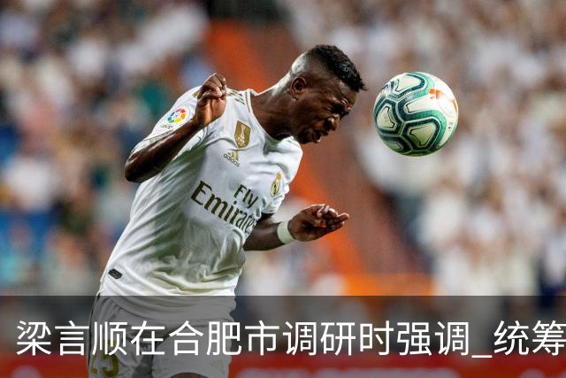 梁言顺在合肥市调研时强调 统筹推进老旧水库改造提升 全面提高防灾减灾救灾能力